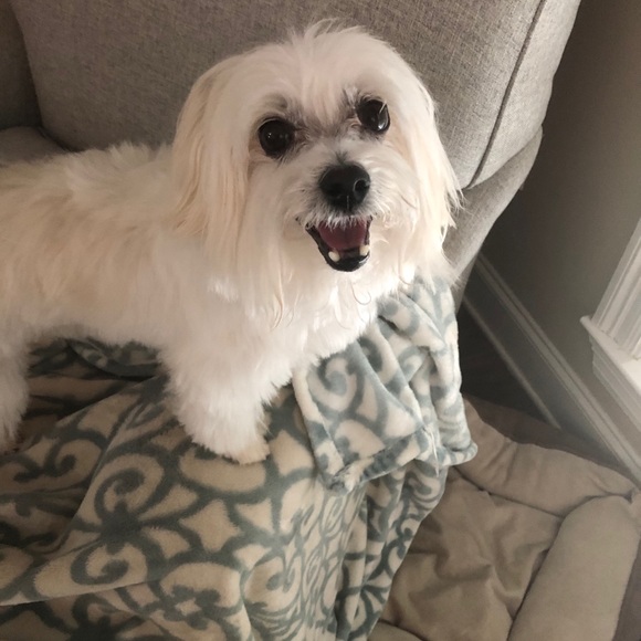 MEET YOUR POSHER - Picture 2 of 5